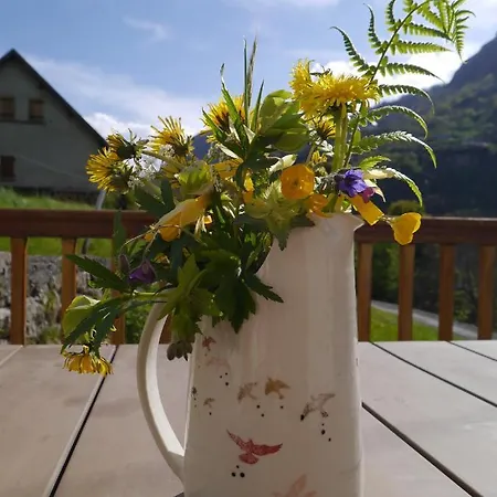 6 Personnes Avec Terrasse *
