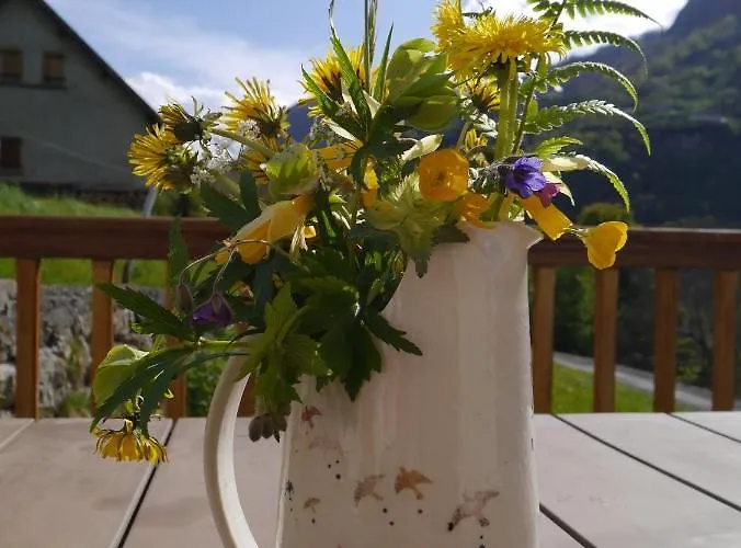 6 Personnes Avec Terrasse *